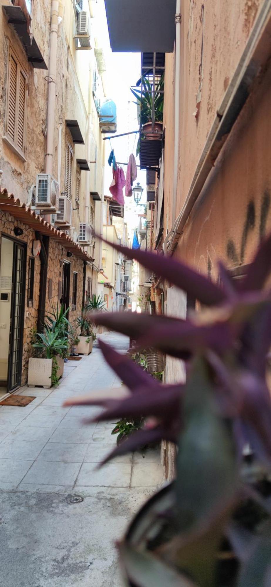 Mama5 Apartman Palermo Kültér fotó